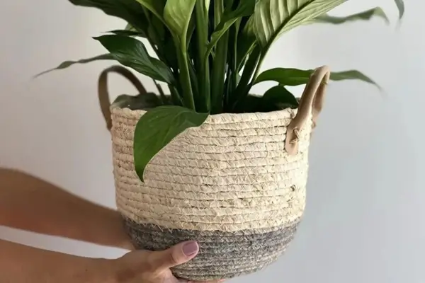 Cachepôs Artesanais